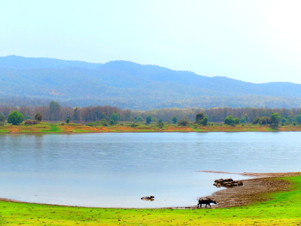 Photograph by APPLAUSE LOVER