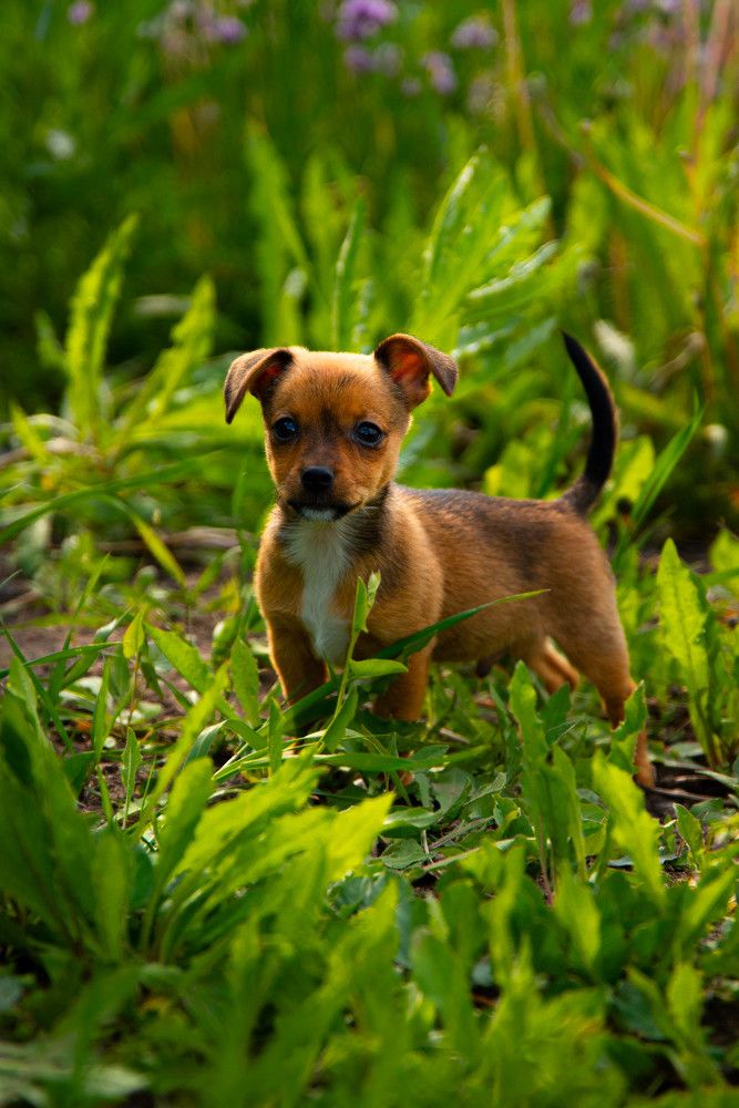 Photograph by Елена Прохорова