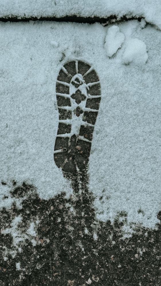 Photograph by Светлана Родионова