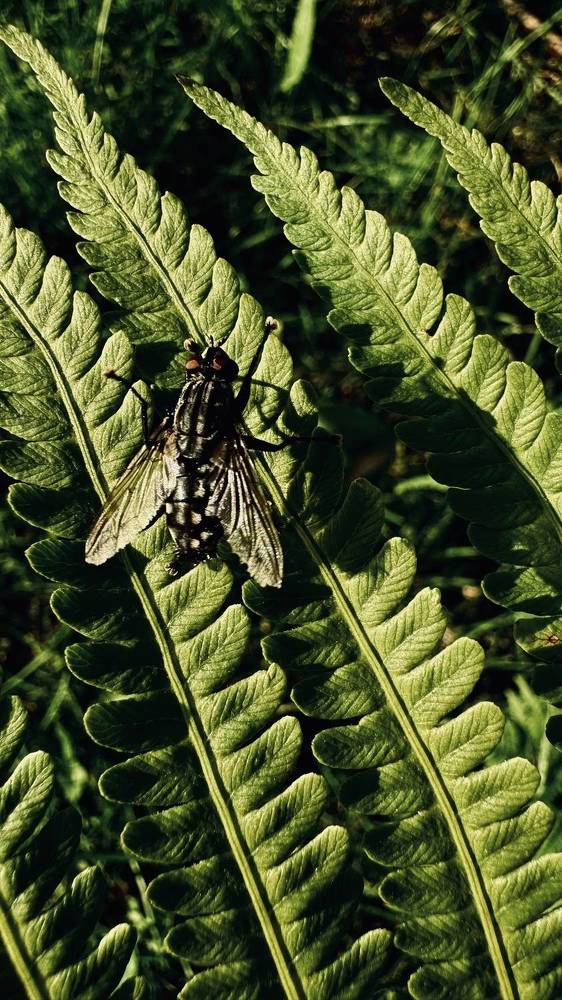 Photograph by Светлана Родионова