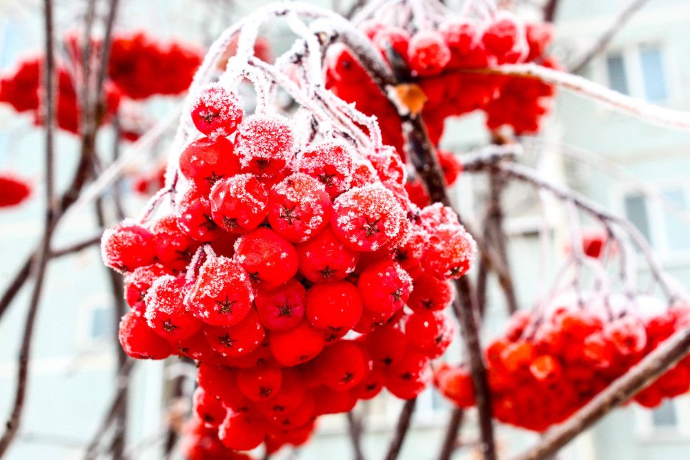 Photograph by Иван Крылов