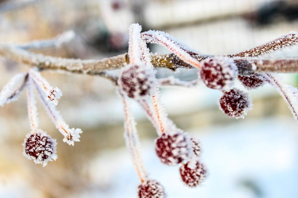 Photograph by Иван Крылов