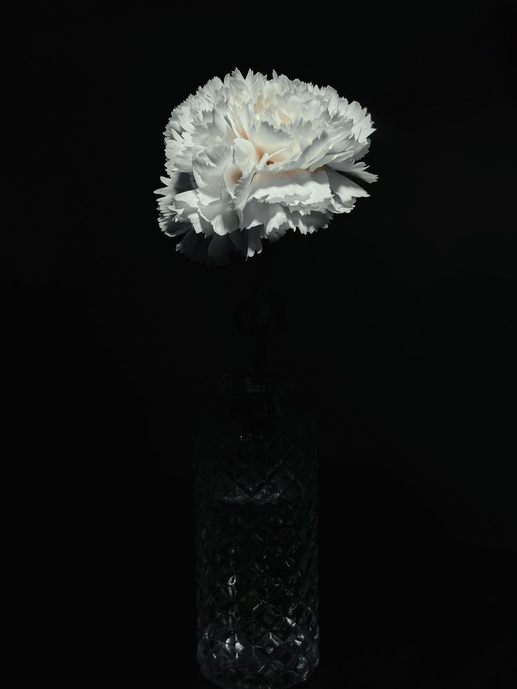 Фотография автора Юлия Осетрова