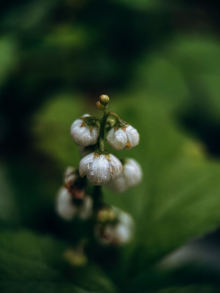 Фотография автора Юлия Осетрова