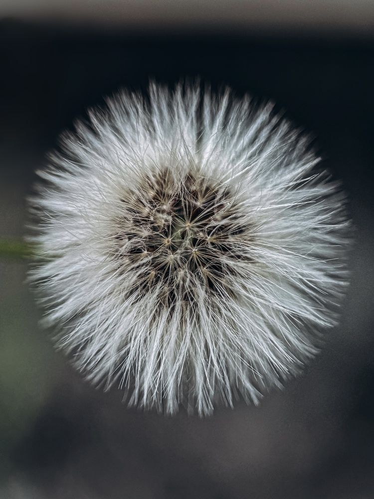 Фотография автора Юлия Осетрова