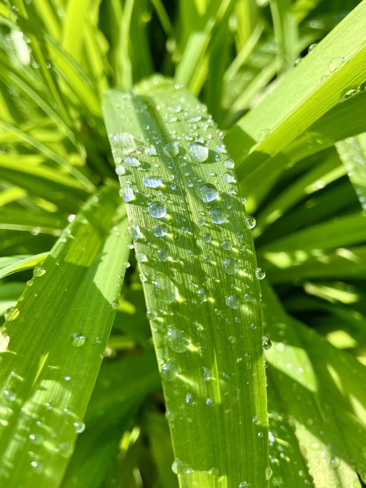 Photograph by Ирина Швейнова