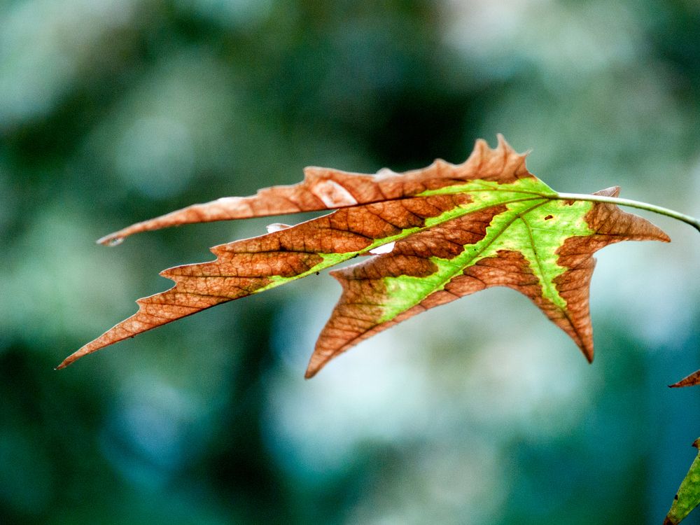 Photograph by Abdolreza Aleagha