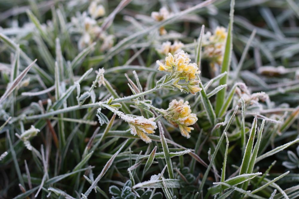 Photograph by АЛЛА ТАРАСЕНКО