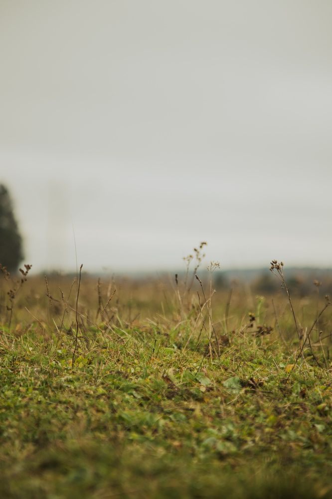 Photograph by Владимир Пилюков