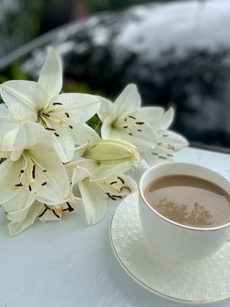 Photograph by Наталья Душакова