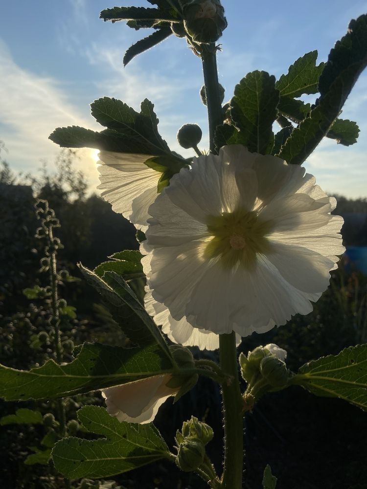 Photograph by Наталья Душакова