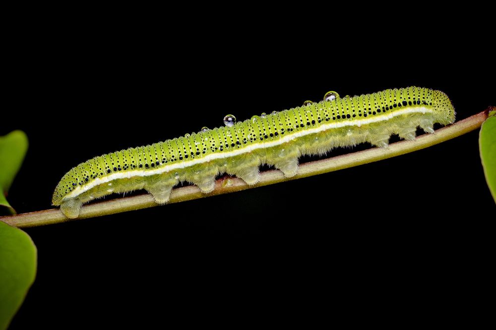 Photograph by Mohamed Rafi