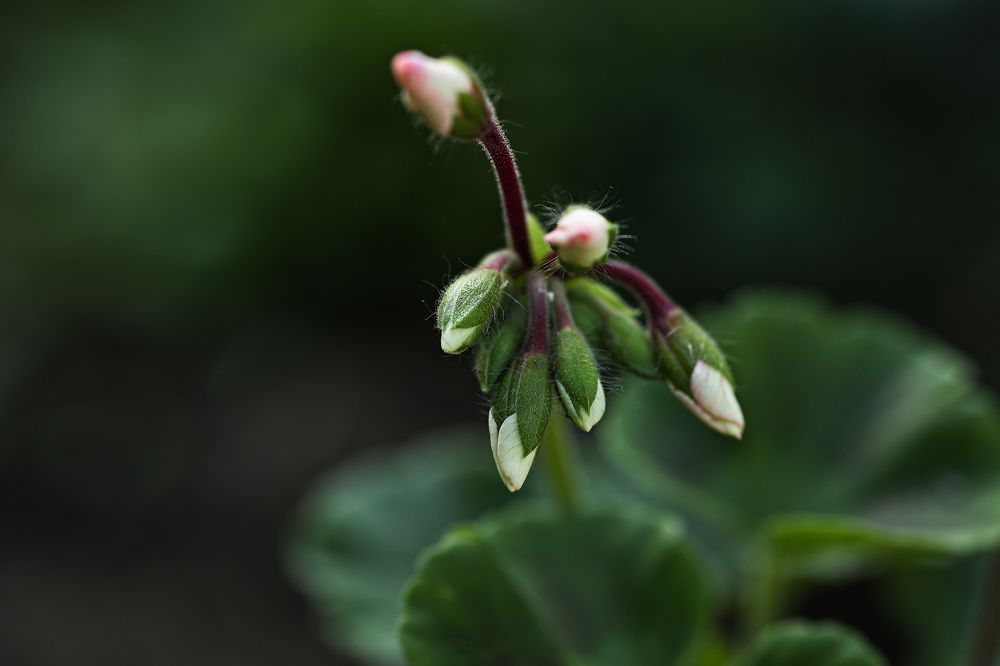 Photograph by Елена Одынец