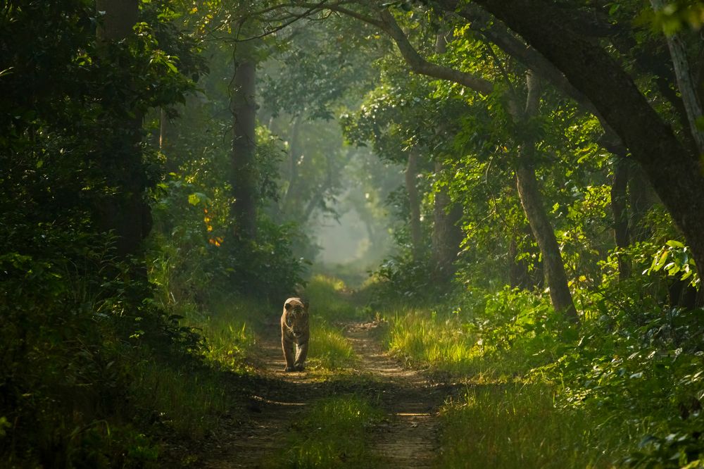 Photograph by hitesh chawla