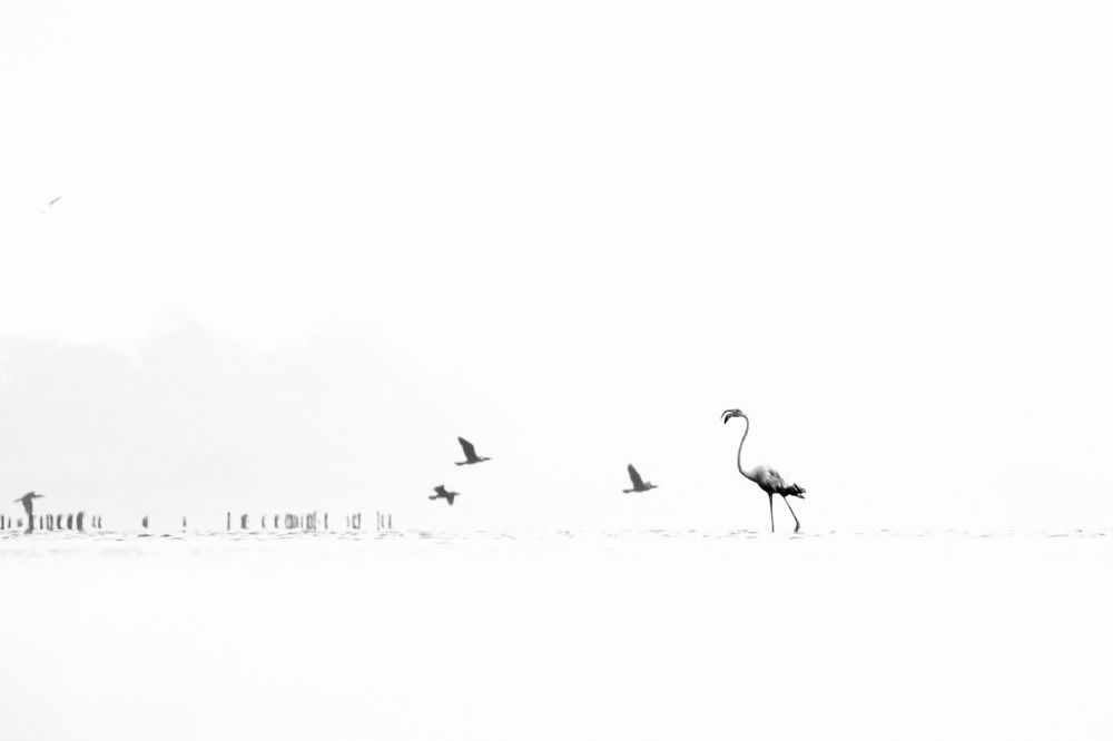 Фотография автора hitesh chawla