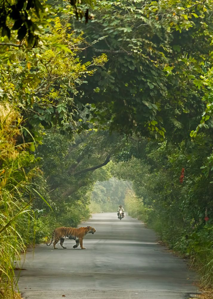 Photograph by hitesh chawla