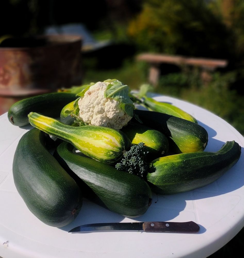 Photograph by Ольга Мартьянова