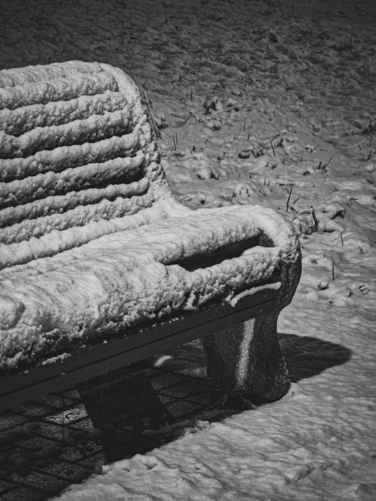 Фотография автора Данилова Наталья