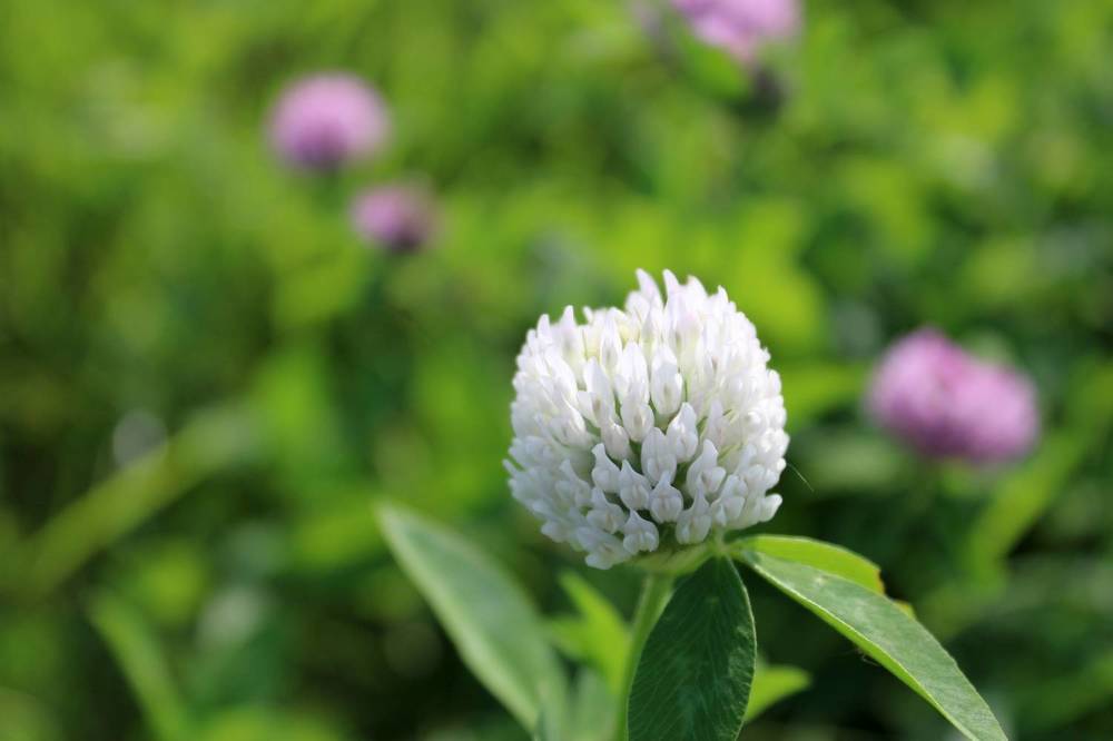 Photograph by Olga Bagaeva