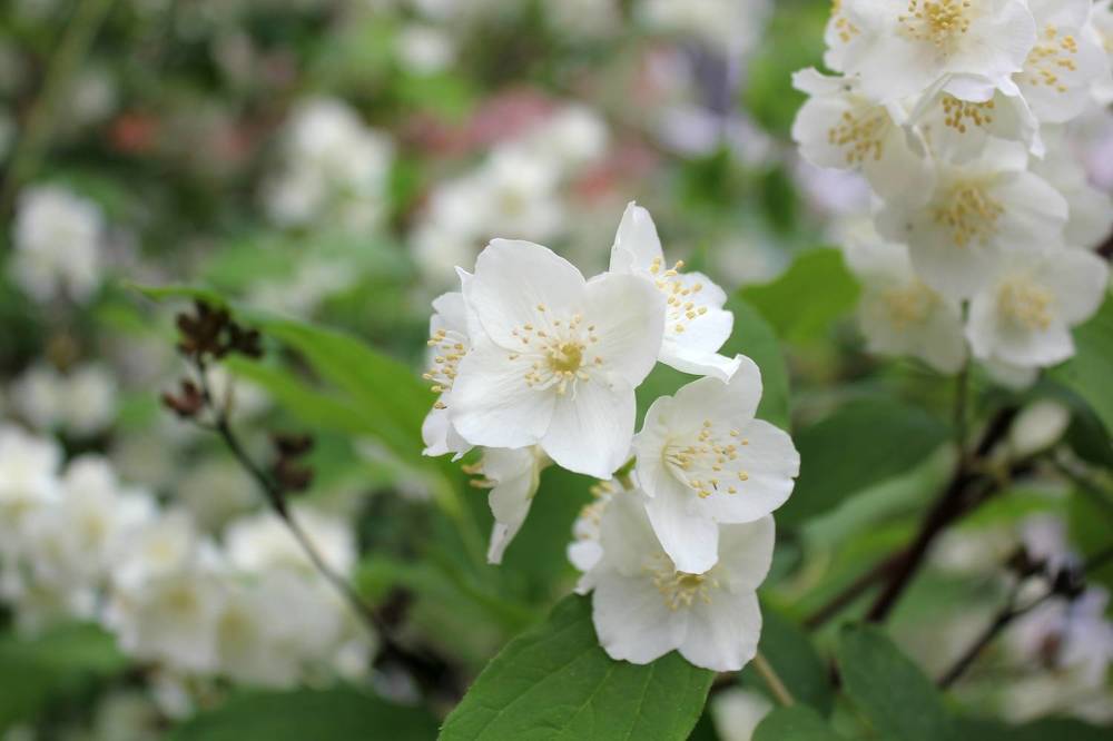 Photograph by Olga Bagaeva