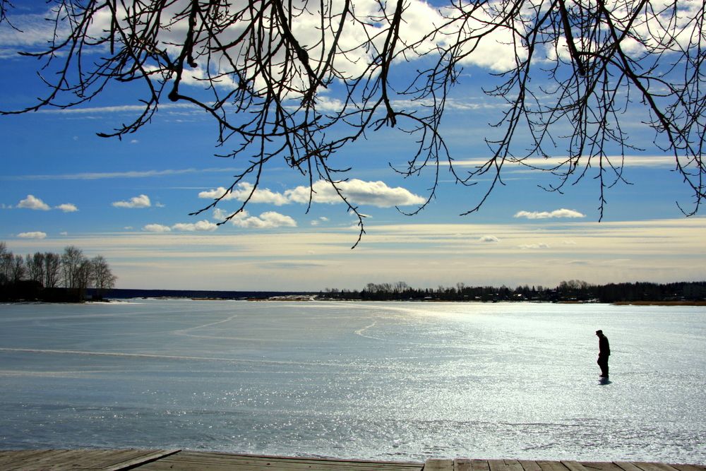 Фотография автора Nelya  Lysenko