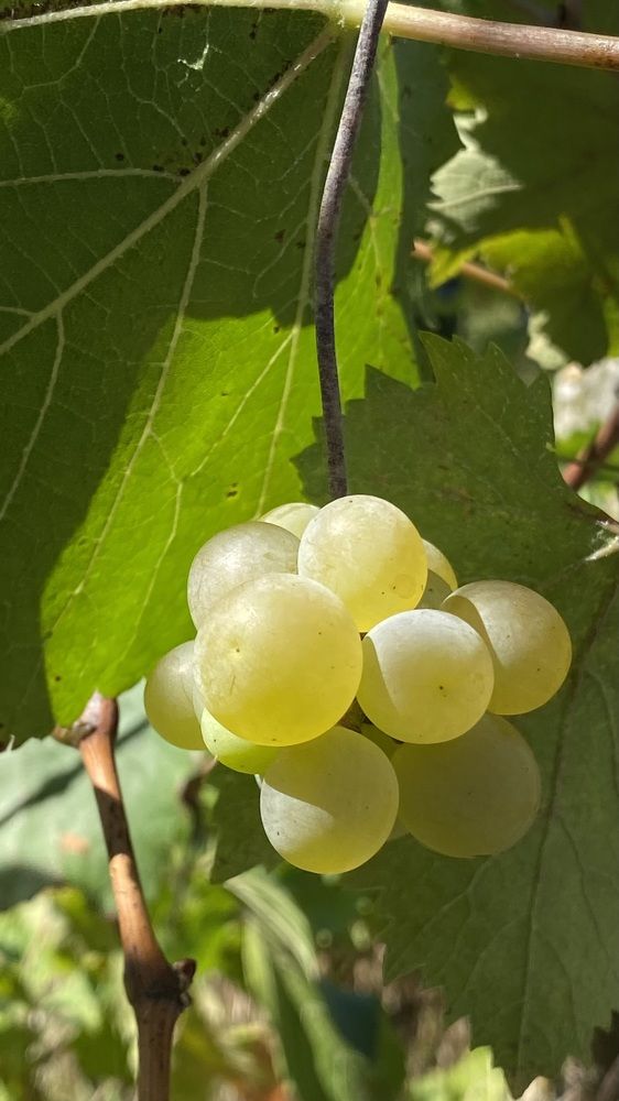 Photograph by Светлана Фесенко