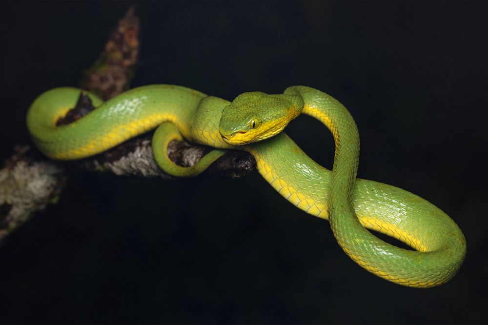 Photograph by Dhananjay Jadhav