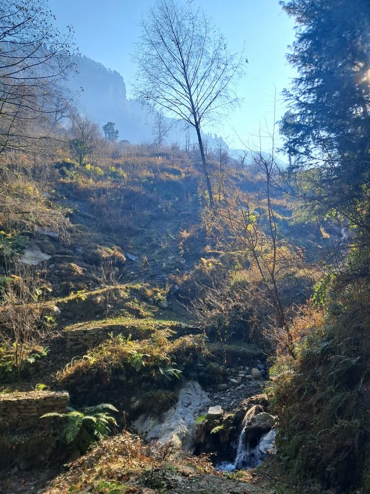 Himalayan Heaven