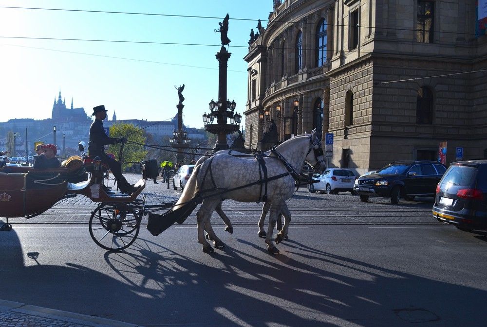Фотография автора Наталья Владимировна