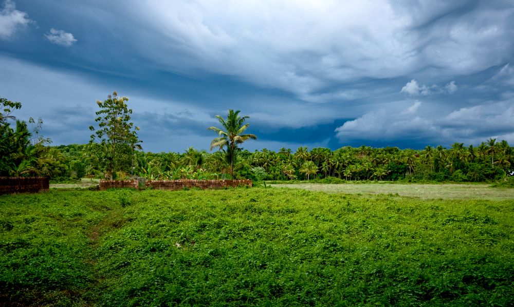 Photograph by Rachana madhav