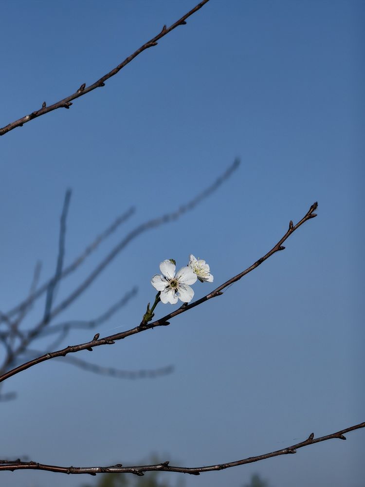 Photograph by Veranika Siratsinina