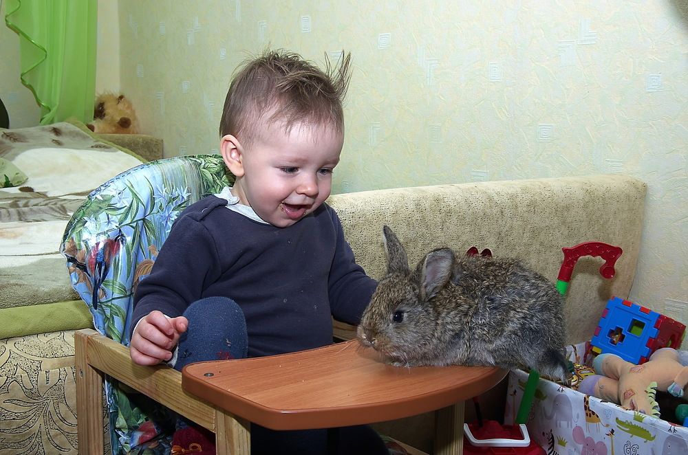 Photograph by Анатолий Святой