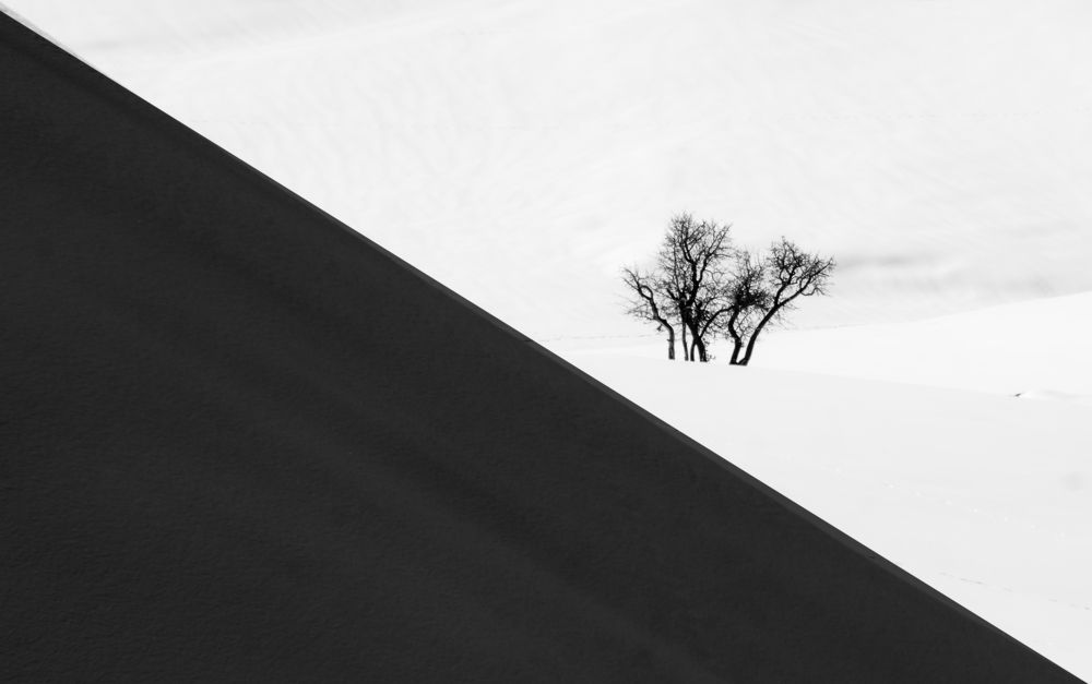 Photograph by Farid Azadi