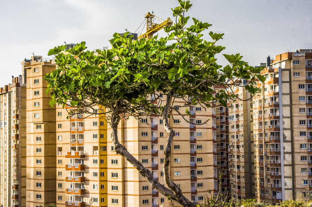 Photograph by Farid Azadi