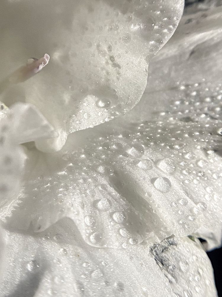 Photograph by Станислава Садыкова