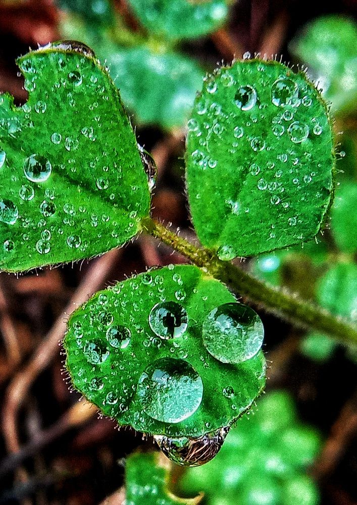 Фотография автора Mahdi Mohammadi