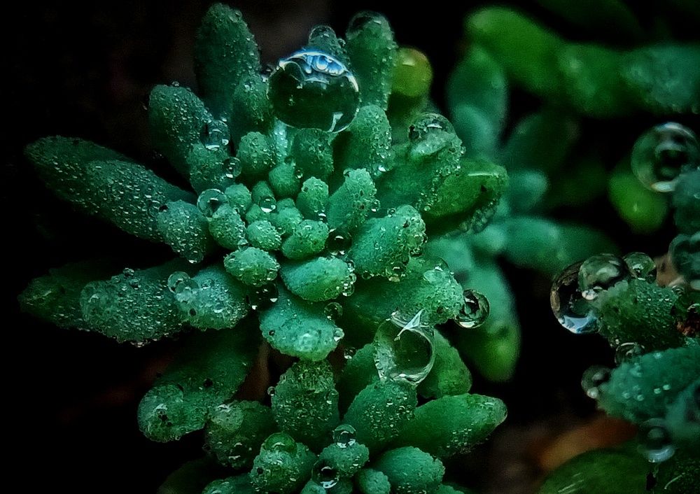 Фотография автора Mahdi Mohammadi