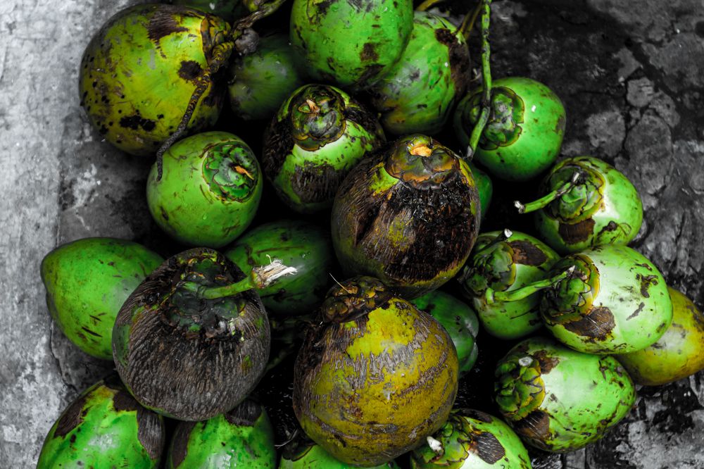 Фотография автора Debapriya Dasgupta