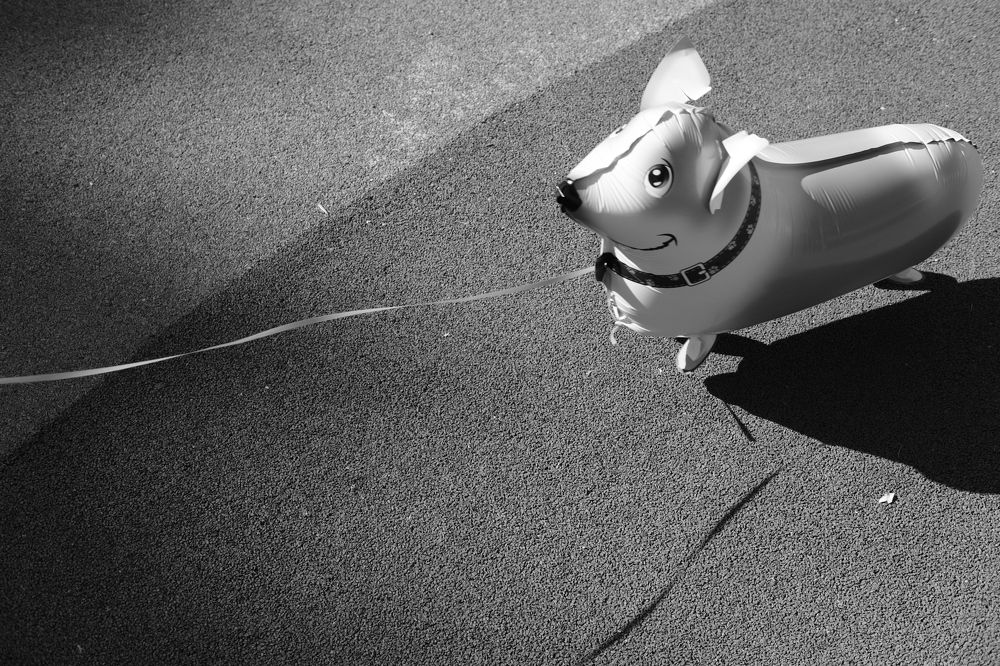 Фотография автора Александров Алексей