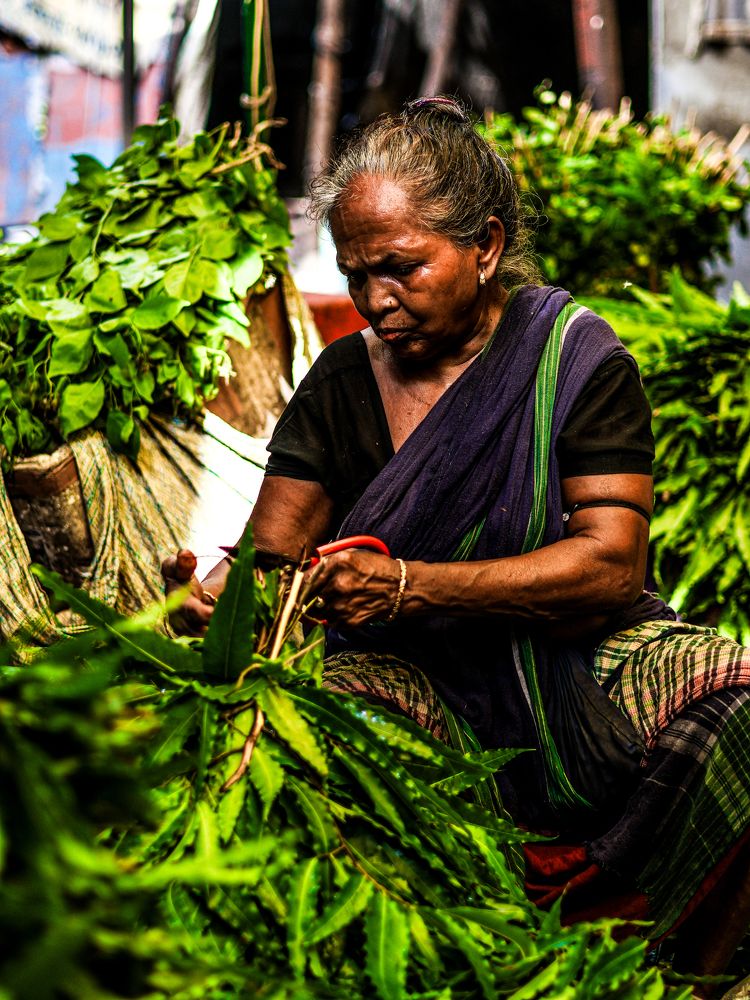 Фотография автора Debapriya Dasgupta