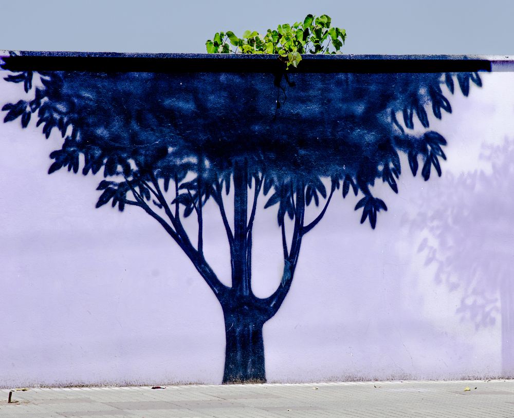 Photograph by Farid Azadi