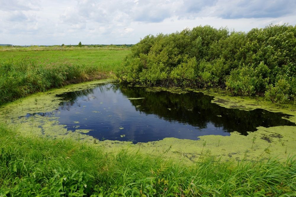 Photograph by Игорь Кравцов