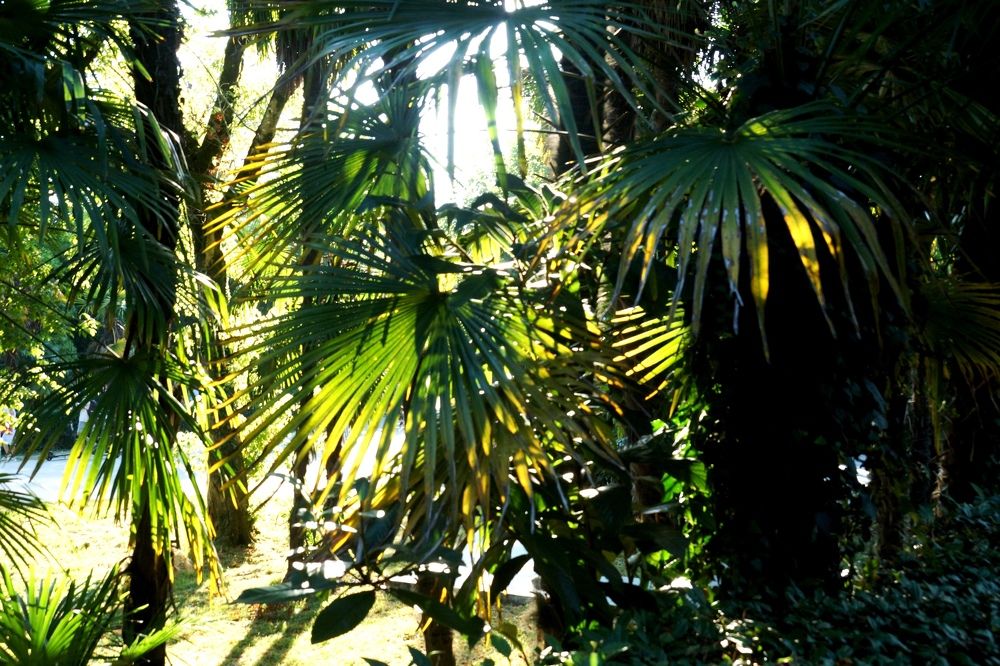 Photograph by Игорь Кравцов