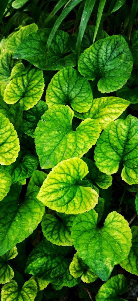 Фотография автора Mahdi Mohammadi