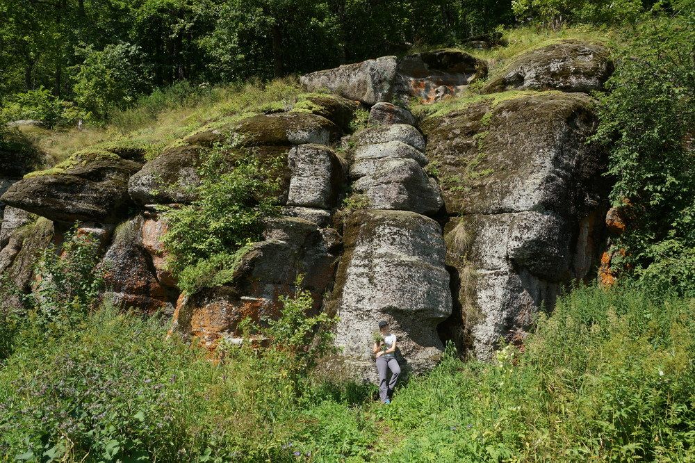 Photograph by Игорь Кравцов