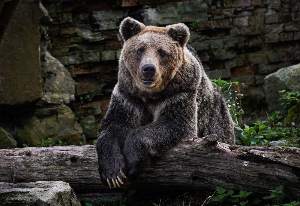 Photograph by Киркляускас Андрюс