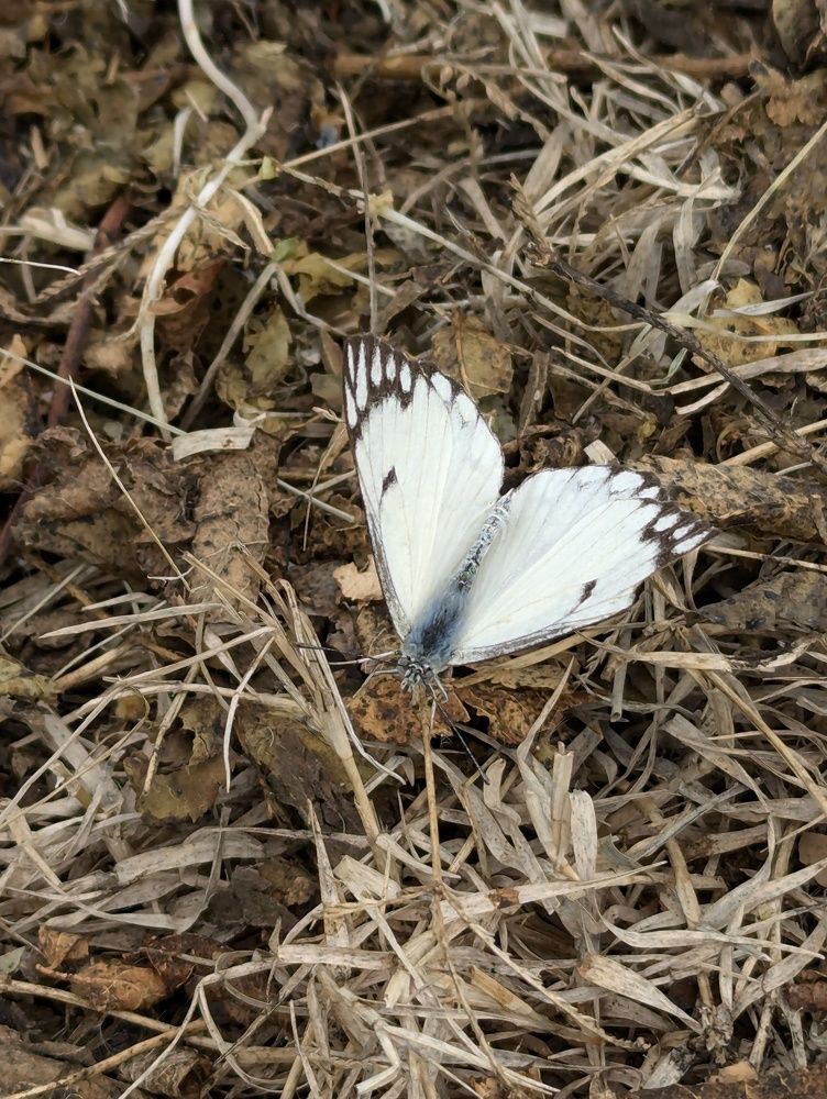 Photograph by Ishaq Karim