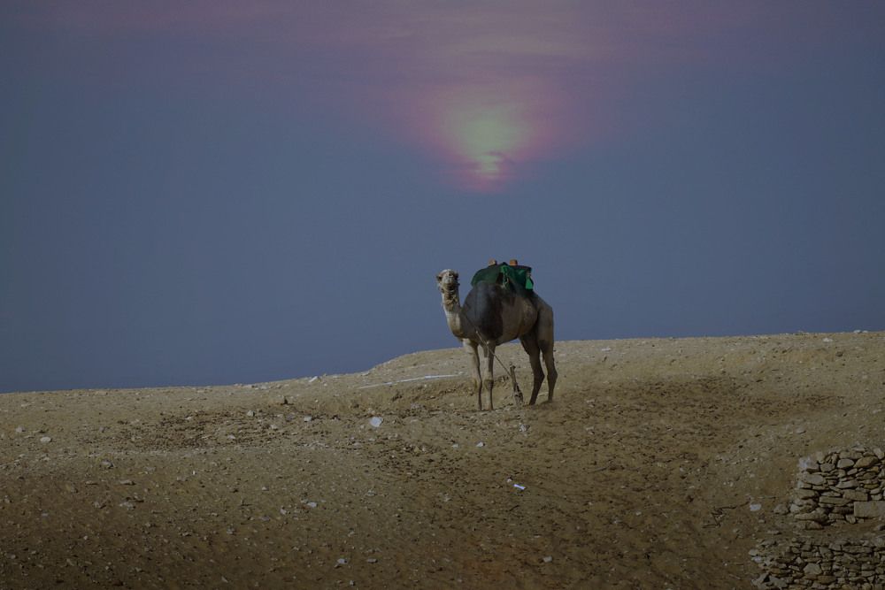 Photograph by Raed Victor Saad