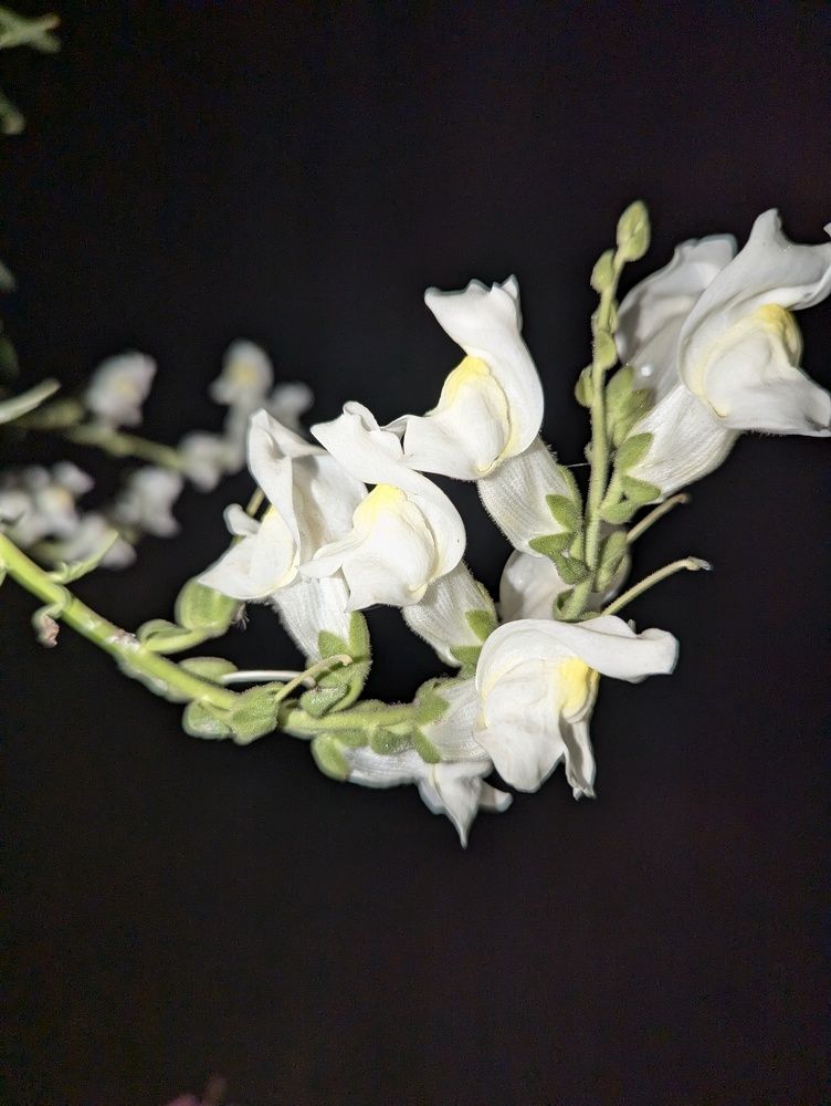 Photograph by Ishaq Karim