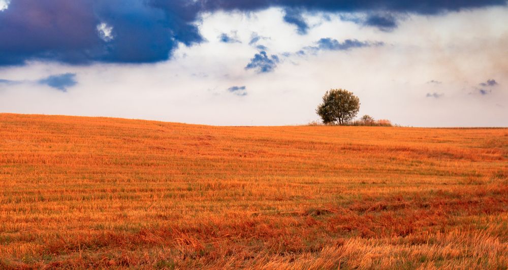 Photograph by Викулов Сергей